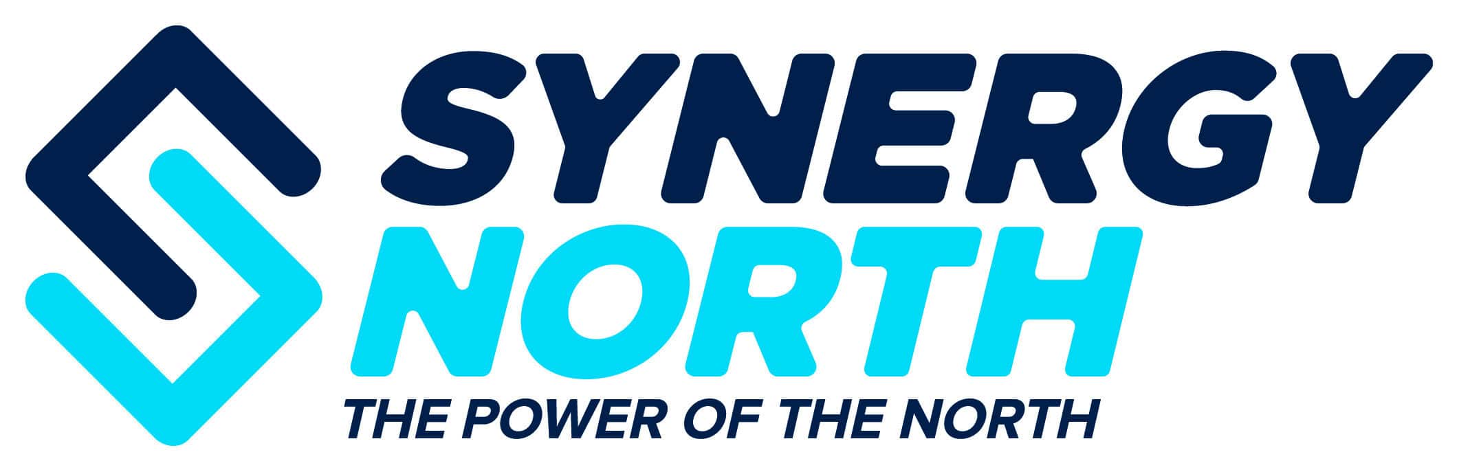 SYNERGY NORTH logo--PMS_______